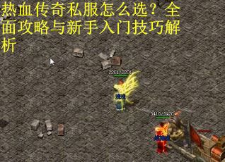 热血传奇私服怎么选？全面攻略与新手入门技巧解析