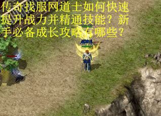 传奇找服网道士如何快速提升战力并精通技能？新手必备成长攻略有哪些？