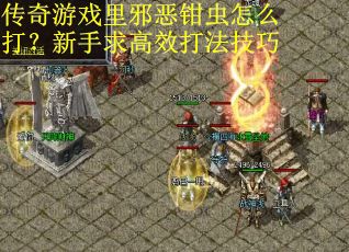 传奇游戏里邪恶钳虫怎么打？新手求高效打法技巧