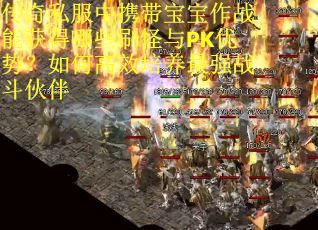 传奇私服中携带宝宝作战能获得哪些刷怪与PK优势？如何高效培养最强战斗伙伴