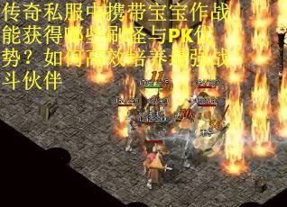 传奇私服中携带宝宝作战能获得哪些刷怪与PK优势？如何高效培养最强战斗伙伴