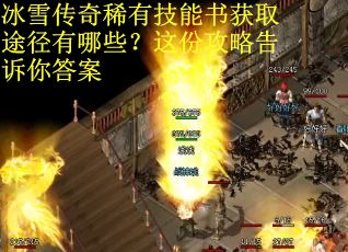 冰雪传奇稀有技能书获取途径有哪些?这份攻略告诉你答案