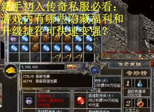 新手初入传奇私服必看：游戏内有哪些隐藏福利和升级捷径可快速变强？