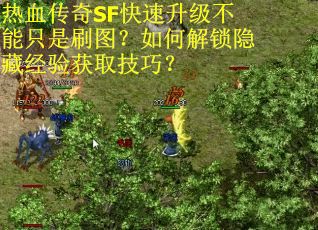 热血传奇SF快速升级不能只是刷图?如何解锁隐藏经验获取技巧?
