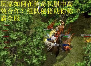 玩家如何在传奇私服中高效合作?组队秘籍助你称霸全服