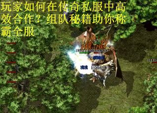 玩家如何在传奇私服中高效合作？组队秘籍助你称霸全服