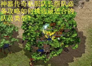 神器传奇私服队长组队必备攻略如何挑选最适合的队员类型?