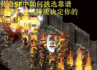 传奇SF中如何挑选靠谱徒弟？这些特质决定你的游戏体验？