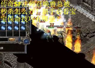 传奇SF法师召唤兽总被秒杀怎么办？新手必看宝宝保命技巧有哪些？