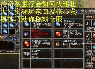 传奇私服行会如何快速壮大？资深玩家亲授核心发展技巧助你称霸全服