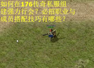 如何在176传奇私服组建强力行会？必招职业与成员搭配技巧有哪些？
