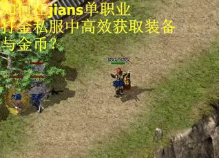 如何在jians单职业打金私服中高效获取装备与金币？