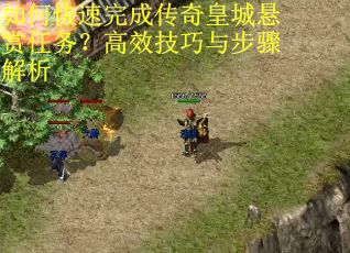 如何快速完成传奇皇城悬赏任务？高效技巧与步骤解析