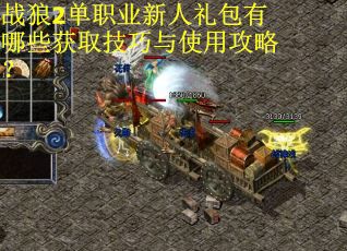 战狼2单职业新人礼包有哪些获取技巧与使用攻略？