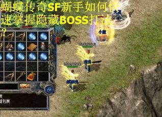 蝴蝶传奇SF新手如何快速掌握隐藏BOSS打法？