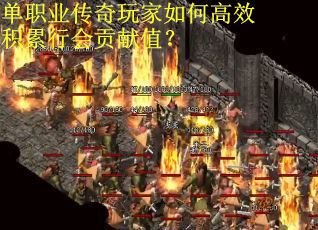 单职业传奇玩家如何高效积累行会贡献值？